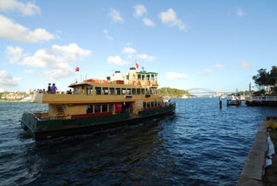 DSC_7607.JPG