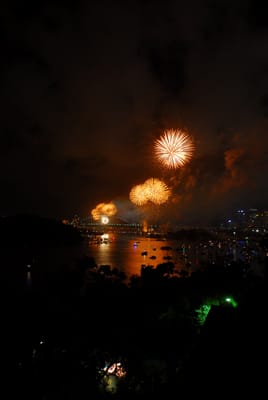 DSC_7721.JPG