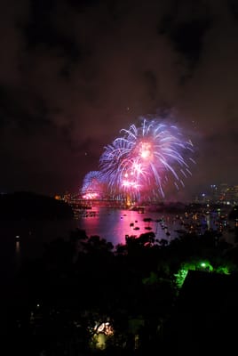 DSC_7725.JPG