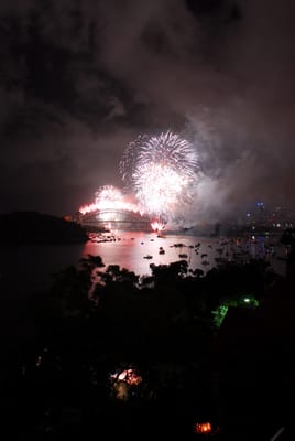 DSC_7733.JPG