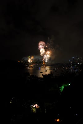 DSC_7736.JPG