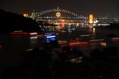 DSC_7768.JPG