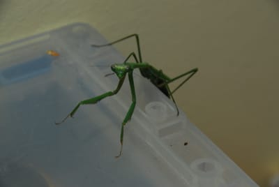 DSC_5086.JPG