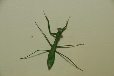 DSC_5089.JPG