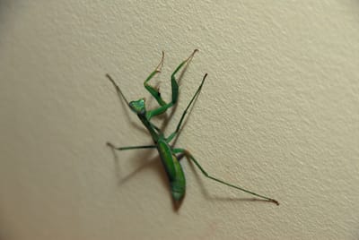 DSC_5099.JPG