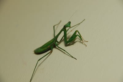 DSC_5103.JPG