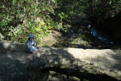 DSC_5942.JPG
