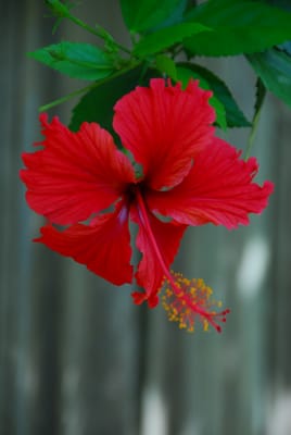 DSC_4095.JPG