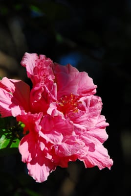 DSC_4096.JPG