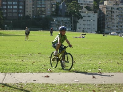 DSCN0502.JPG