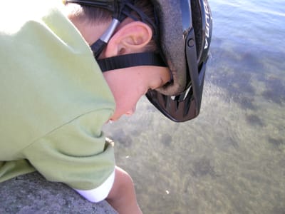 DSCN0507.JPG