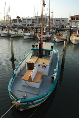 DSC_4456.JPG