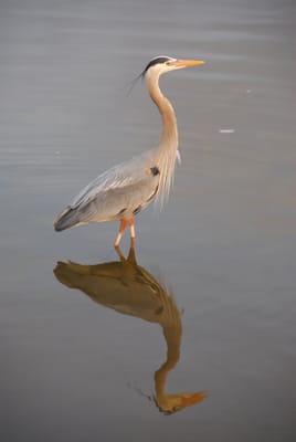 DSC_4469.JPG