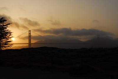 DSC_4470.JPG