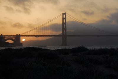 DSC_4479.JPG