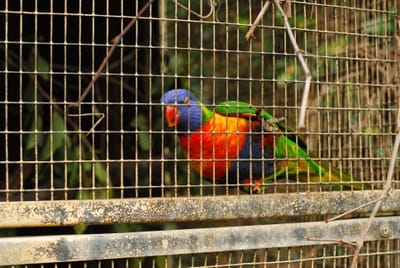 DSC_4861.JPG