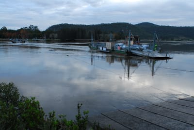 DSC_4933.JPG