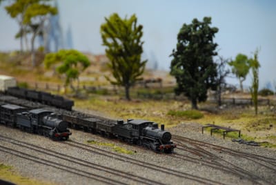 DSC_6730.JPG