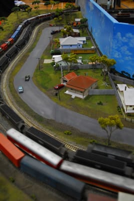 DSC_6768.JPG