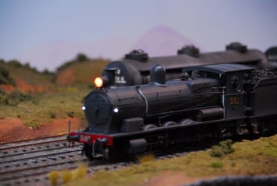 DSC_6775.JPG