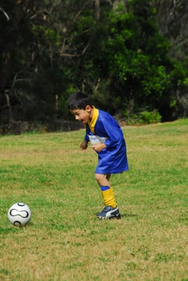 DSC_6146.JPG
