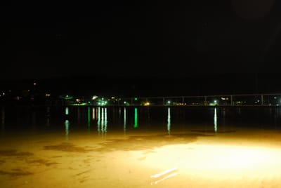 DSC_6816.JPG