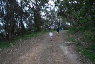 DSC_6850.JPG