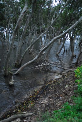 DSC_6856.JPG