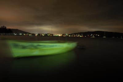 DSC_6885.JPG