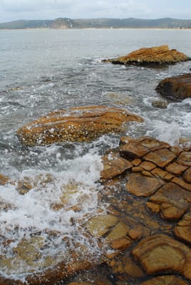 DSC_6893.JPG