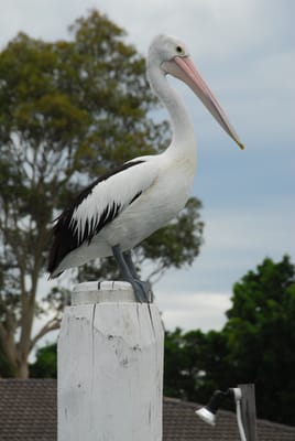 DSC_3059.JPG