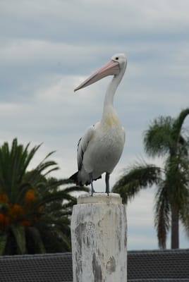 DSC_3060.JPG