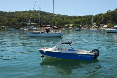 DSC_2955.JPG