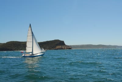 DSC_2989.JPG