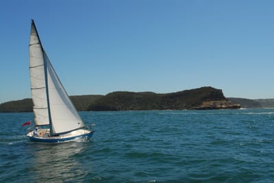 DSC_2990.JPG