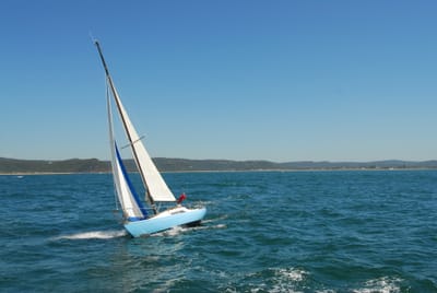 DSC_2991.JPG