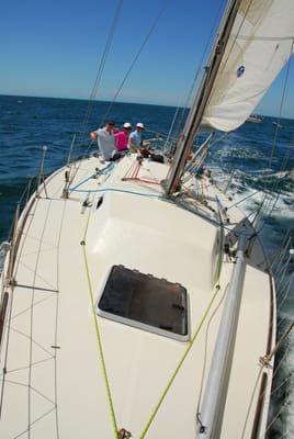DSC_2995.JPG