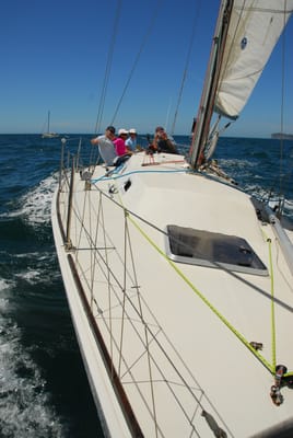 DSC_2998.JPG