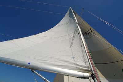 DSC_3006.JPG