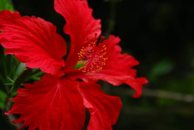 DSC_3073.JPG