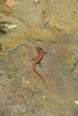 DSC_3076.JPG