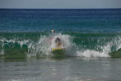 DSC_3297.JPG