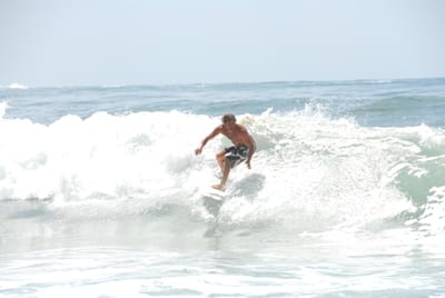 DSC_3377.JPG