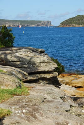 DSC_8338.JPG