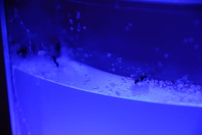 DSC_2178.JPG