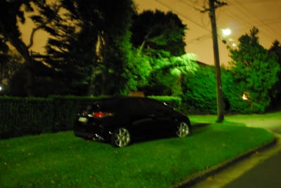 DSC_2530.JPG