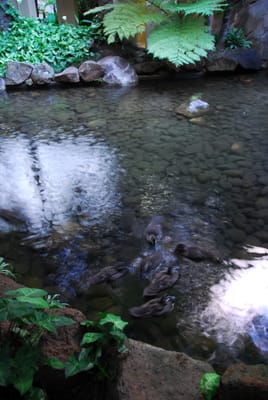 DSC_8192.JPG