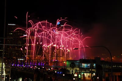 DSC_8247.JPG