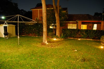 DSC_9316.JPG