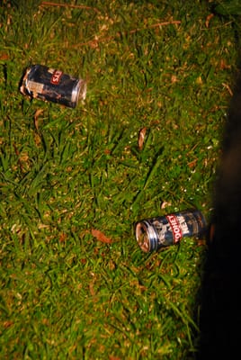 DSC_9340.JPG